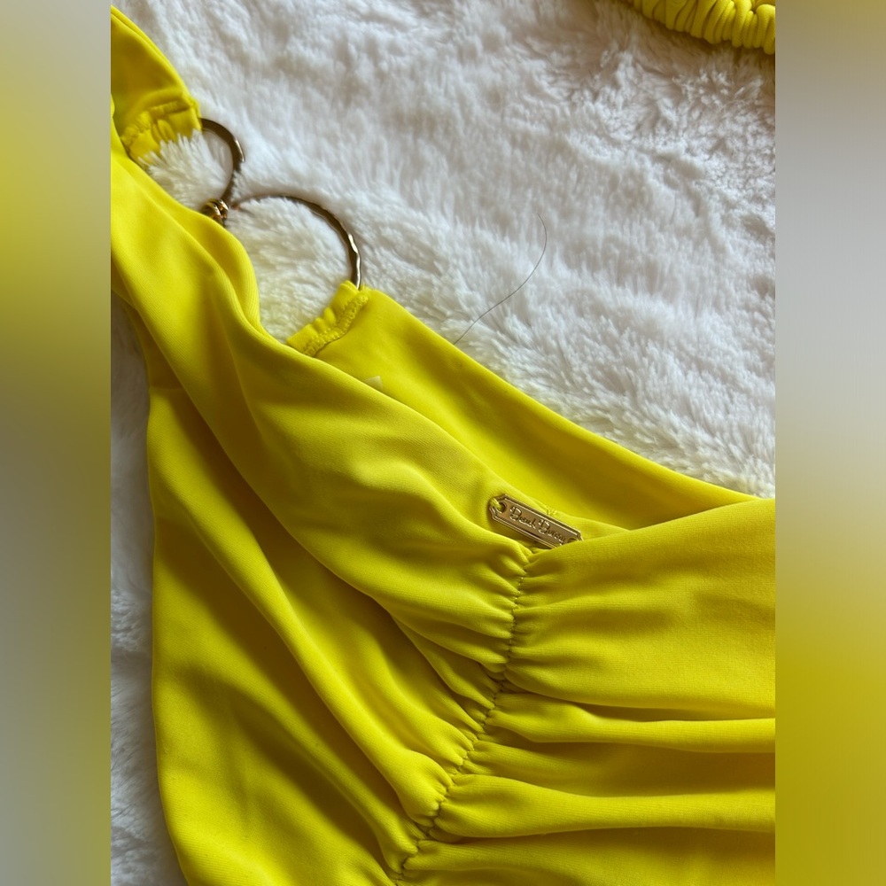 Beach Bunny Bikini - image 3